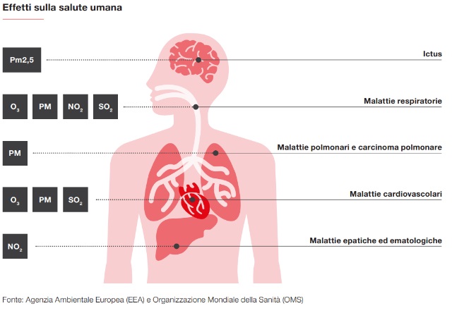 malaria-legambiente-2021-malattie-inquinamento