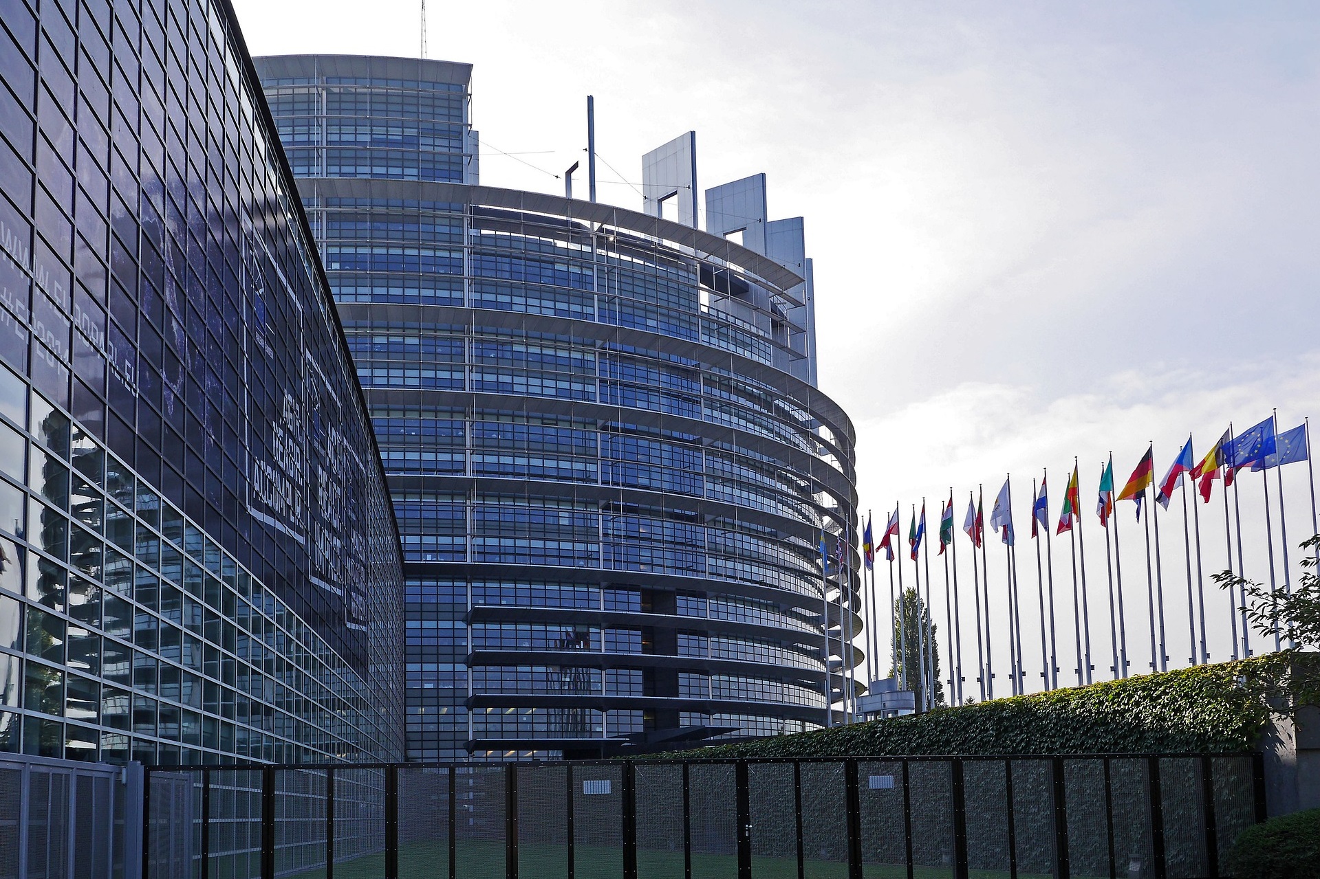 Nuovo Regolamento ELV; si procede a piccoli passi
